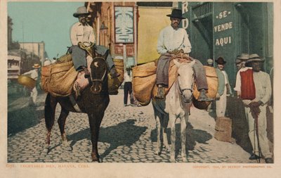 Hombres vegetales, La Habana, Cuba, 1904 de Unbekannt