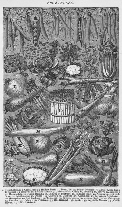 Vegetales, 1907 de Unbekannt