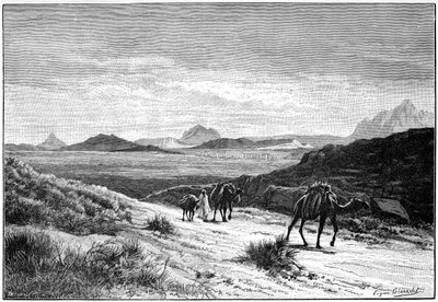 Vista desde el paso de Tellat, Túnez, c1890 de Unbekannt
