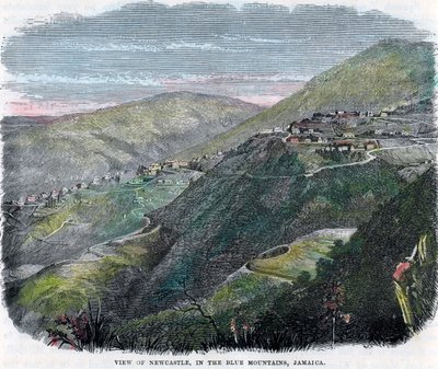 Vista de Newcastle, en las Montañas Azules, Jamaica, c1880 de Unbekannt
