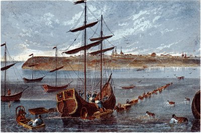 Vista de Taganrog, c. 1840 de Unbekannt