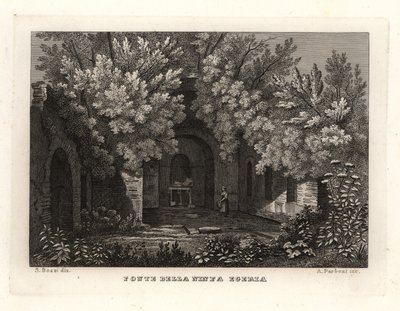 Vista del manantial de la ninfa Egeria, Fonte della Ninfa Egeria, Parco Cafarella, Roma de Unbekannt