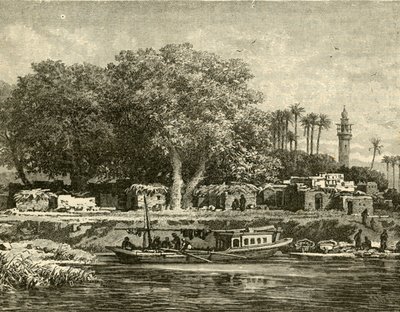 Vista en el Delta del Nilo, 1890 de Unbekannt