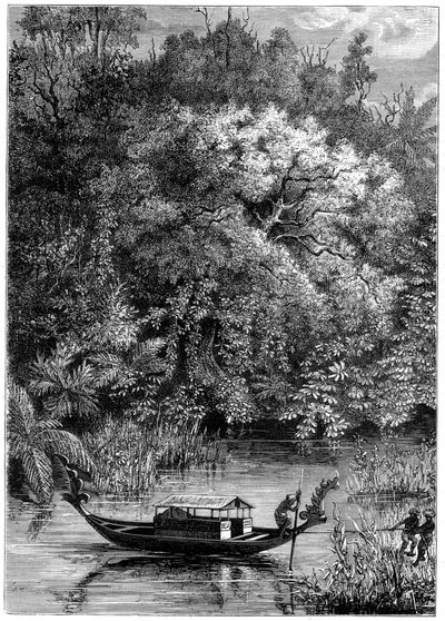 Vista del río Dodinga, Nueva Guinea, 1877 de Unbekannt