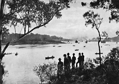 Vista del río Parramatta, c1900 de Unbekannt
