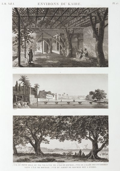 Vistas alrededor de El Cairo, Egipto, c 1798 de Unbekannt