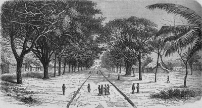 Pueblo en la costa oeste de África, c. 1880 de Unbekannt