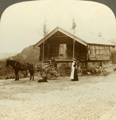 Esperando pasajeros en la carretera cerca de Bolkesjo, Noruega, c1905 de Unbekannt