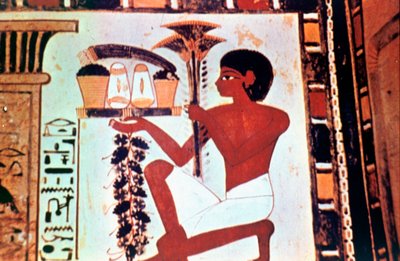 Pintura mural, (detalle), sirviente con ofrendas, Capilla de Menna, Tebas de Unbekannt