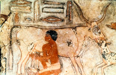 Pintura mural de la tumba de Methethi, Saqqara, Antiguo Egipto, Reino Antiguo, c2371-2350 a.C. de Unbekannt
