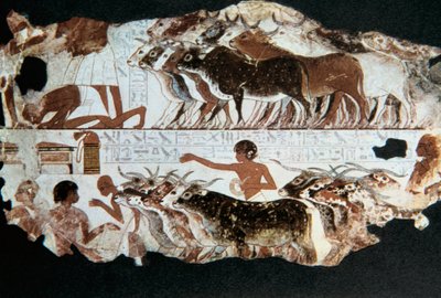 Pintura mural de la tumba de Nebarunun, Tebas, Egipto, c. 1350 a.C. de Unbekannt