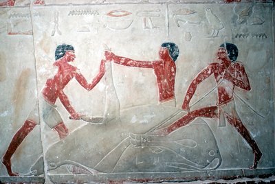 Pintura mural de 3 carniceros cortando una carcasa, Tumba de Idut, V Dinastía, c. 2350 a.C. de Unbekannt