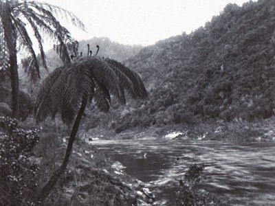 Río Wanganui, finales del siglo XIX-principios del siglo XX de Unbekannt