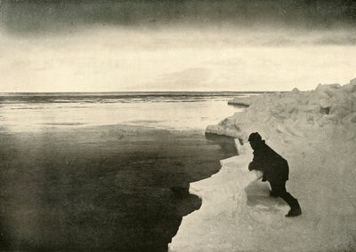 Observando focas en el borde del hielo, c1908, 1909 de Unbekannt