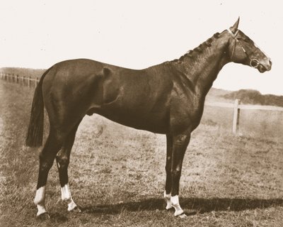 Veleta, 1911 de Unbekannt