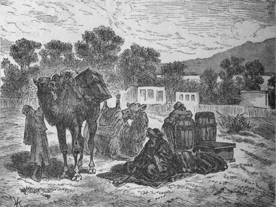 Pozos de Moisés, Cerca de Suez, c1882 de Unbekannt