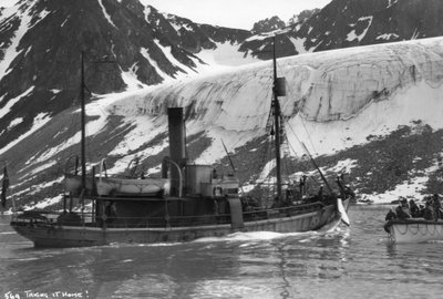 Caza de Ballenas, Bahía Magdalena, Spitzbergen, Noruega, 1929 de Unbekannt