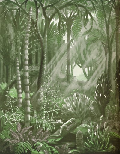 Cómo eran los poderosos bosques de carbón, 1935 de Unbekannt