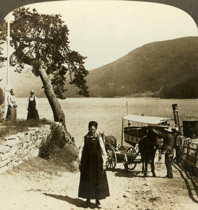 Cuando el vapor del lago llega al muelle de Tinoset - vista a través de Tinsjo hacia las colinas, Noruega, c1905 de Unbekannt