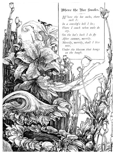 Donde chupa la abeja, 1895 de Unbekannt