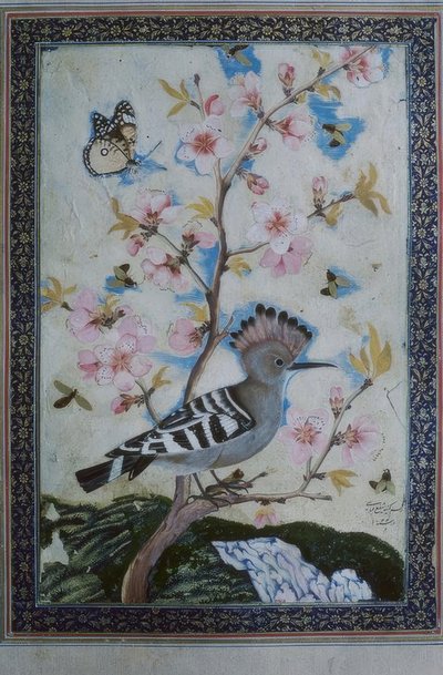 Abubilla / miniatura india de Unbekannt