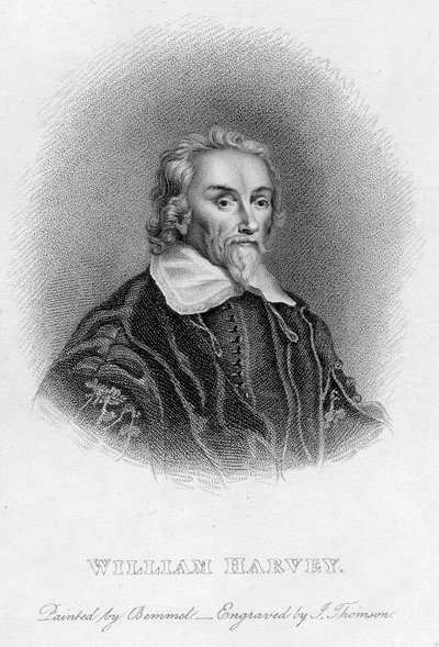 William Harvey 1578-1657 médico inglés, siglo XVII de Unbekannt