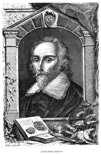 William Harvey 1578-1657 médico inglés, siglo XVII de Unbekannt