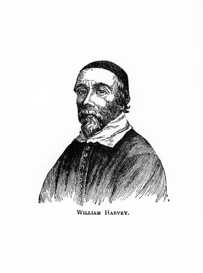 William Harvey, médico inglés del siglo XVII de Unbekannt