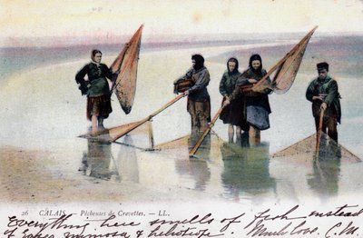 Mujeres pescadoras de camarones, Calais, 1905 de Unbekannt