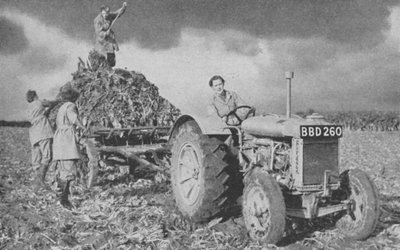 Ejército de Mujeres levantando una cosecha, Segunda Guerra Mundial, 1940 de Unbekannt