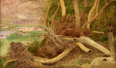 Paisaje boscoso con puente, ca. 1860-1870 de Unbekannt