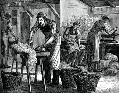 Clasificadores de lana, c. 1880 de Unbekannt