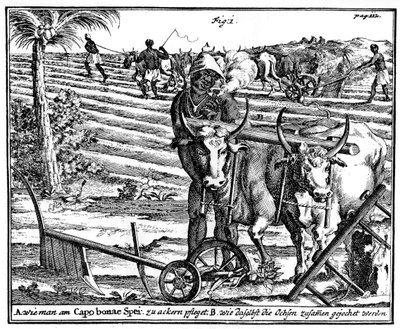 Uncir bueyes y arar campos, Sudáfrica, siglo XVIII de Unbekannt