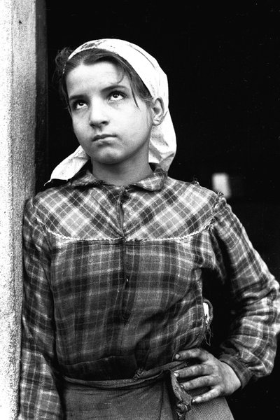 Niña joven trabajando como recolectora de aceitunas en Calabria, Italia, c.1955 de Unbekannt