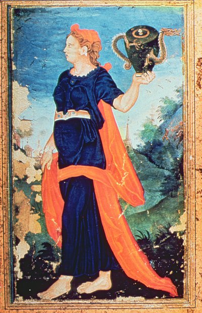 Una figura mitológica, Mughal de Unbekannt Unbekannt