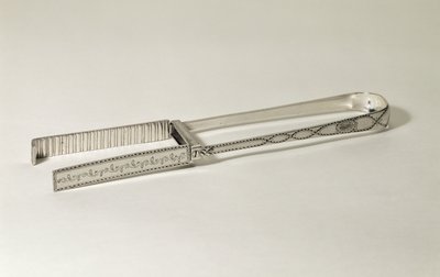 Pinzas para espárragos, Jorge III, decoradas con grabado brillante, hechas por George Smith, c.1790 (plata) de Unbekannt Unbekannt