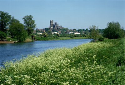 Catedral de Ely y el Río Ouse de Unbekannt Unbekannt