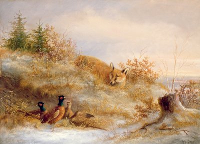 Zorro y faisanes en invierno de Unbekannt Unbekannt