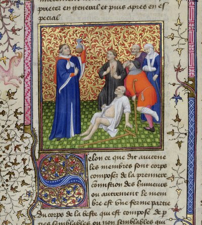 Ms.251 f.54v Un doctor con sus pacientes, de Des Proprietez des Choses, c.1415 de Unbekannt Unbekannt