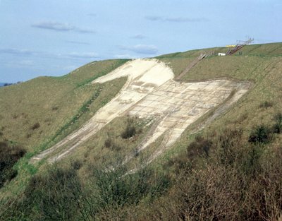 El caballo blanco de Westbury de Unbekannt Unbekannt