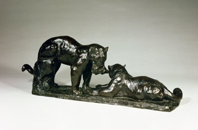 Dos jaguares de Unbekannt Unbekannt