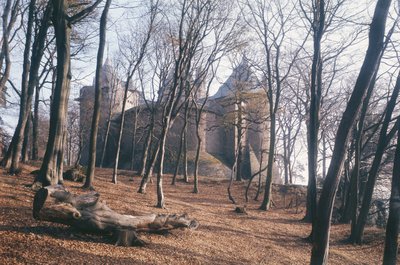 Vista del Castillo Coch, Gales del Sur, desde el bosque de Unbekannt Unbekannt