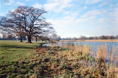 Vista del lago, Corsham Court, Wiltshire de Unbekannt Unbekannt