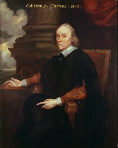 William Harvey (1578-1657) Médico real, siglo XVII de Unbekannt Unbekannt