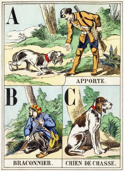 A B C: Apporte, Cazador furtivo, Perro de caza - El Alfabeto de la Caza, c.1890 de Unbekannt