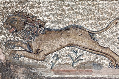Un león - Detalle de un friso que representa escenas de caza junto al panel que representa el primer baño de Aquiles - Mosaicos de Pafos, Villa de Theseus, siglo V d.C. - Chipre de William M. Timlin
