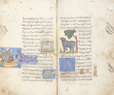 Una página del manuscrito persa "Aja"ib al-Makhluqat wa Ghara"ib al-Maujudat" de Unbekannt