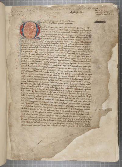 Transcripción de las obras filosóficas de Marco Tulio Cicerón, c.1480 de Unbekannt