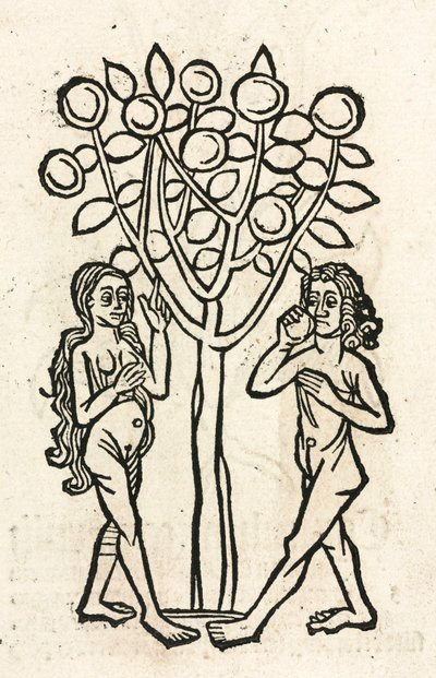 Adán y Eva bajo el Árbol del Conocimiento de Unbekannt