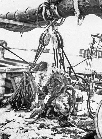 Almirante Robert Edwin Peary (1856-1920) Explorador estadounidense del Ártico (polo norte) aquí en el "Roosevelt" 1909 de Unbekannter Künstler